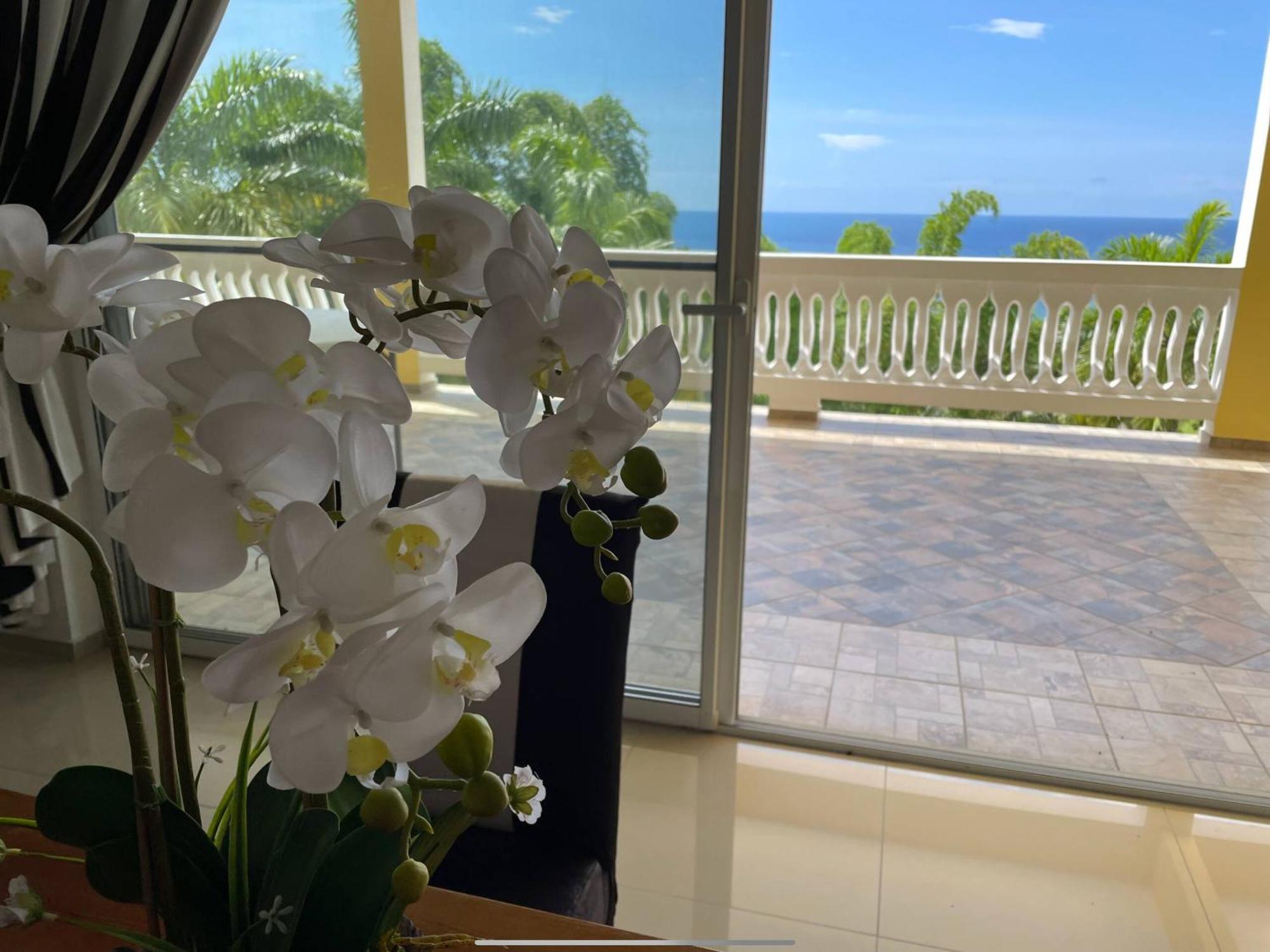Spring Garden Mobay Resort モンテゴ・ベイ エクステリア 写真